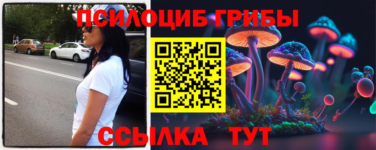 Галлюциногенные грибы Cubensis  Вход с VPN  Киселёвск 