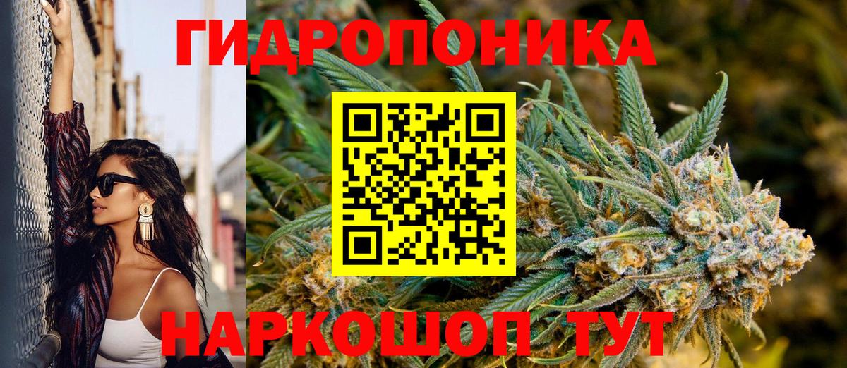 Киселёвск  Бошки Шишки конопля  Вход с VPN  Канабис марихуана  Каннабис LSD WEED  Каннабис ГИДРОПОН 